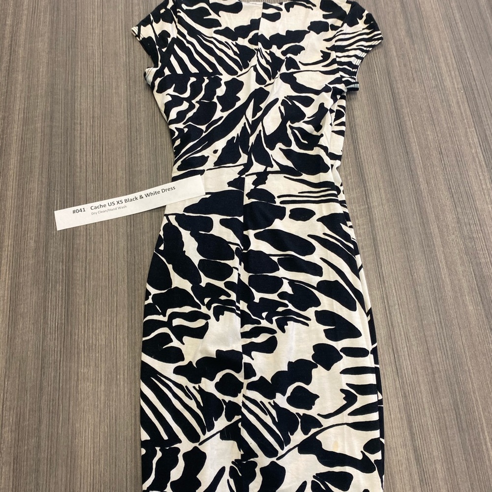 Cache dress - Picture 4 of 4